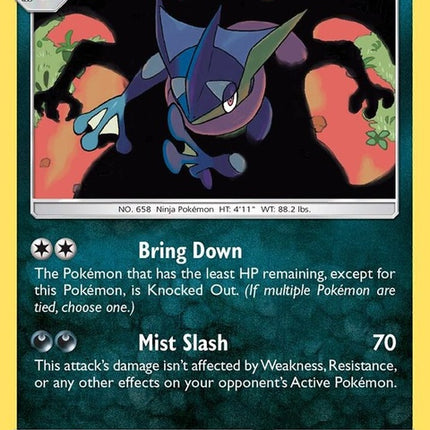 117-greninja