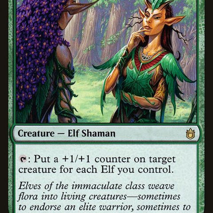 117-immaculatemagistrate