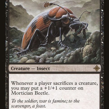 117-morticianbeetle