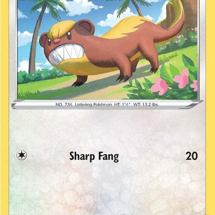 117-yungoos