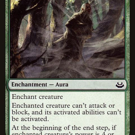 118-arachnusweb