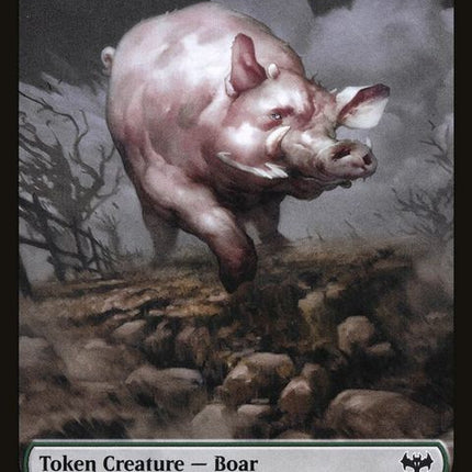 12-boar