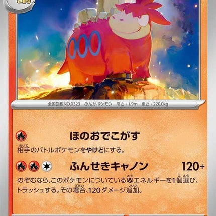 12-camerupt