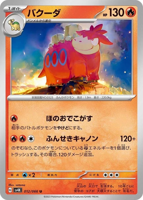 12-camerupt