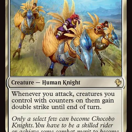 12-chocoboknights