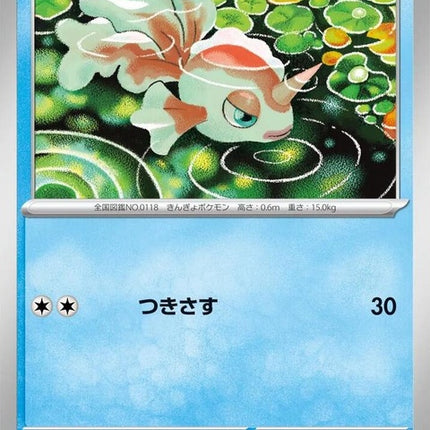12-goldeen