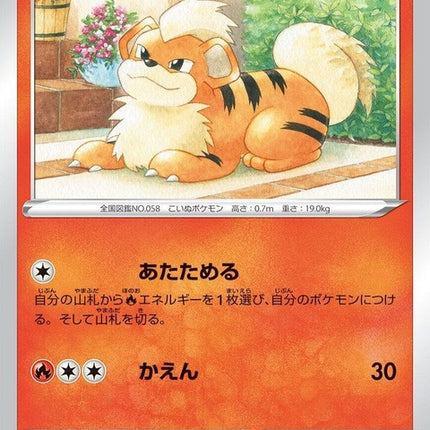 12-growlithe