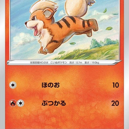 12-growlithe