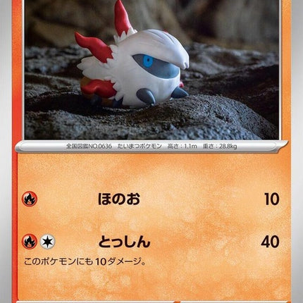 12-larvesta