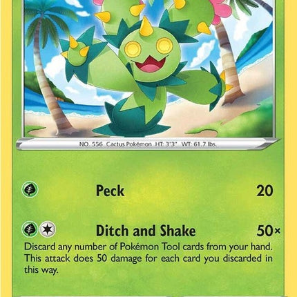 12-maractus