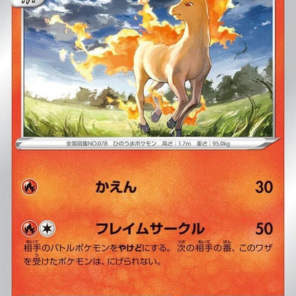 12-rapidash