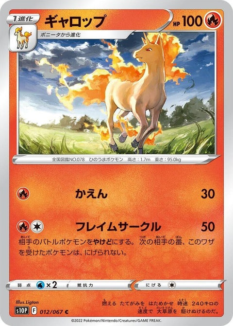 12-rapidash