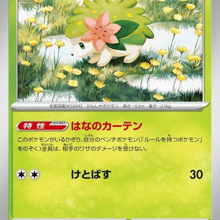 12-shaymin