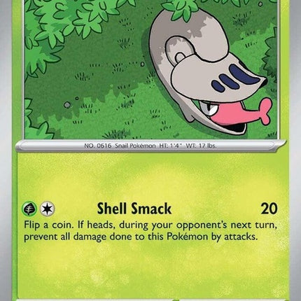 12-shelmet