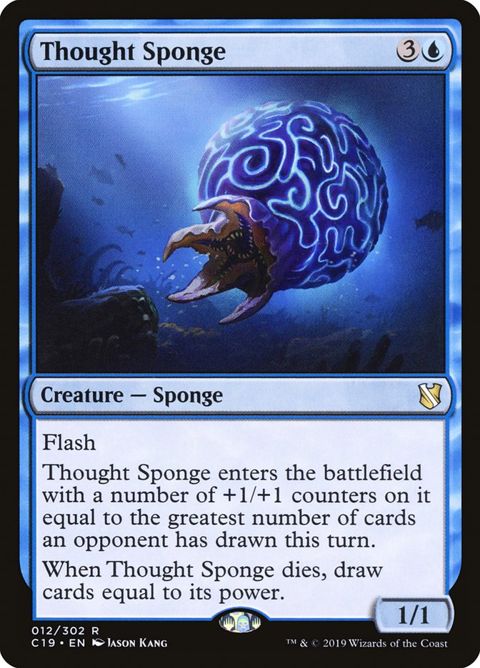 12-thoughtsponge