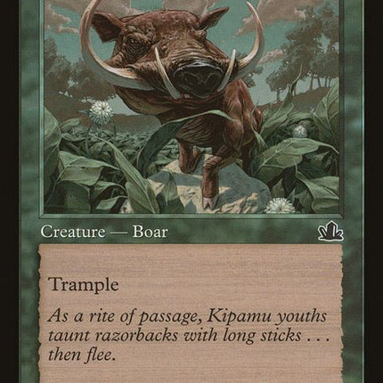 120-pygmyrazorback