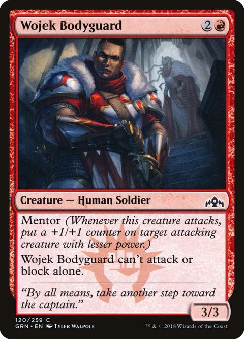120-wojekbodyguard