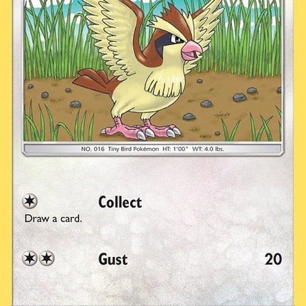 121-pidgey