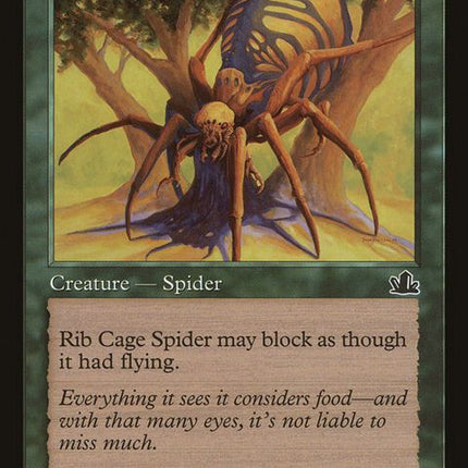 121-ribcagespider