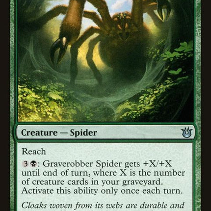 122-graverobberspider