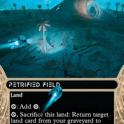 122-petrifiedfield