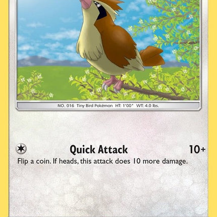 122-pidgey