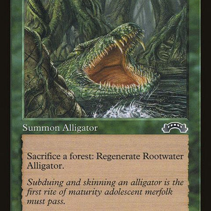 122-rootwateralligator