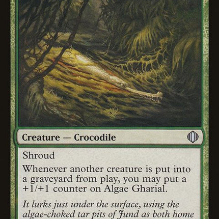 123-algaegharial