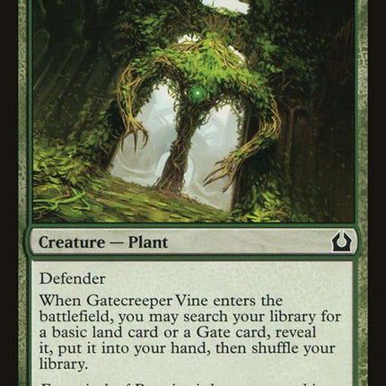 124-gatecreepervine