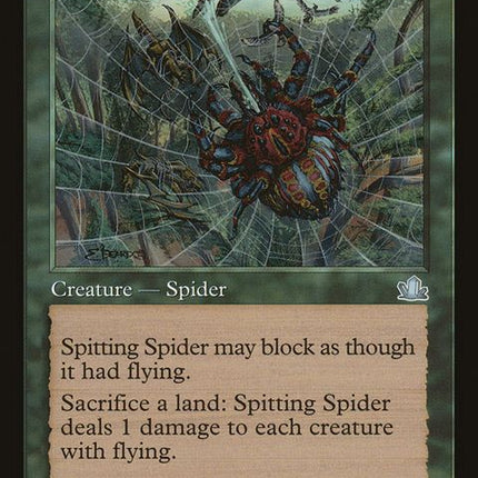 125-spittingspider