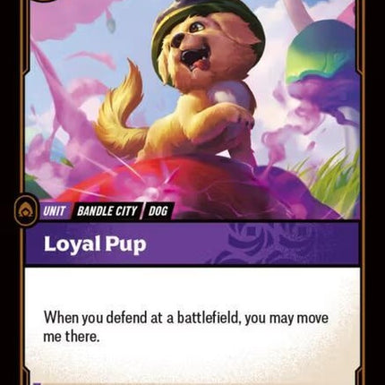 126-loyalpup