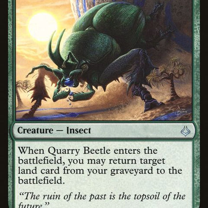 127-quarrybeetle
