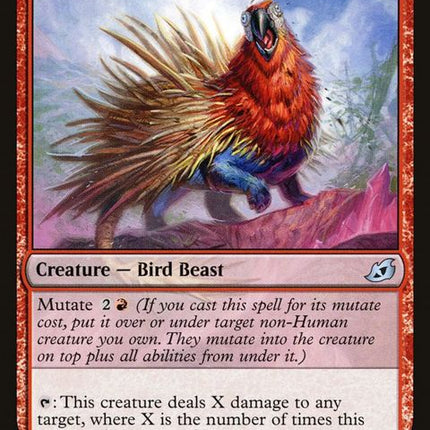 128-porcuparrot