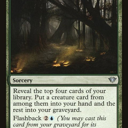 128-trackersinstincts