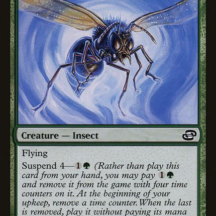 129-giantdustwasp