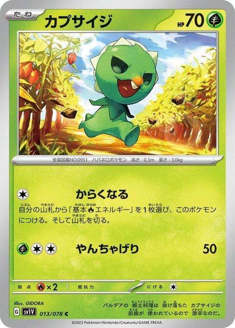 13-capsakid