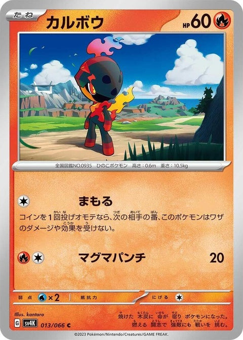 13-charcadet
