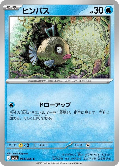 13-feebas
