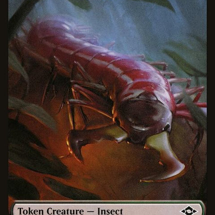 13-insect