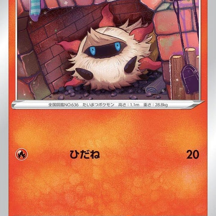 13-larvesta