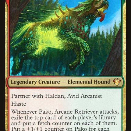 13-pakoarcaneretriever