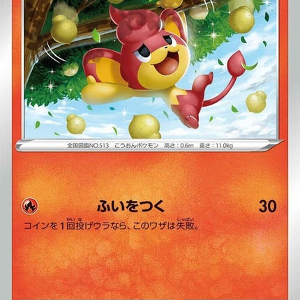 13-pansear