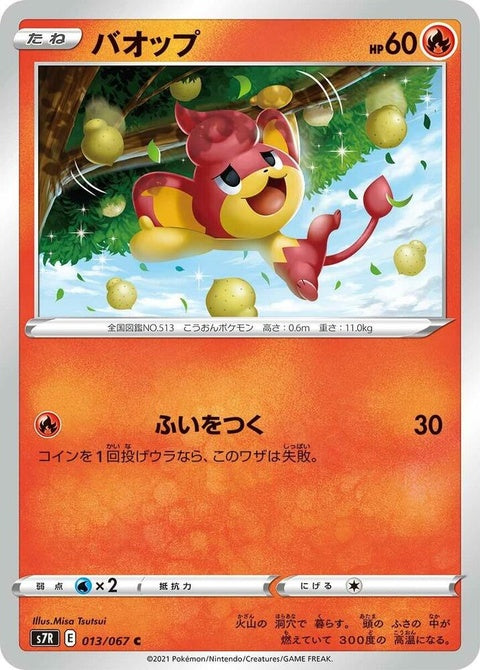 13-pansear