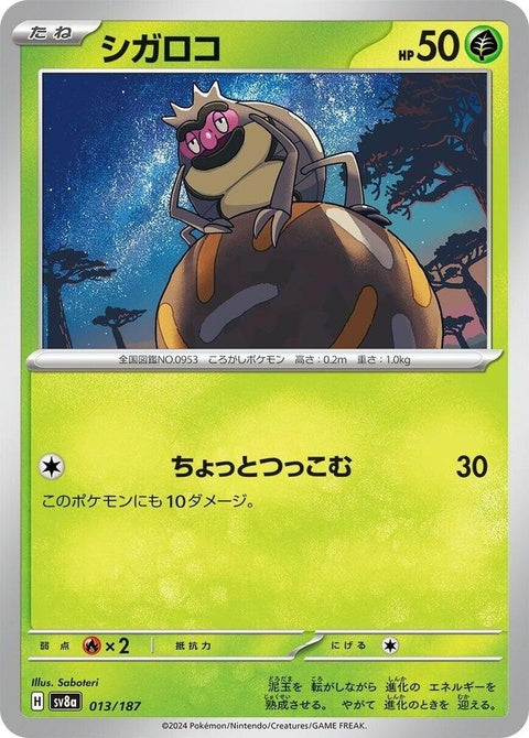 13-rellor