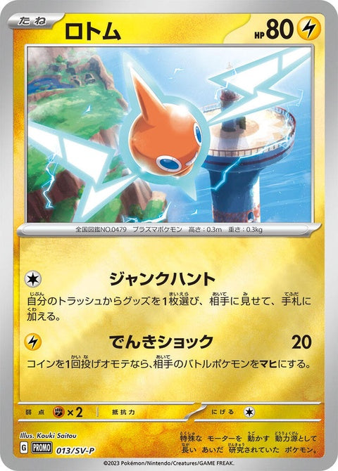 13-rotom