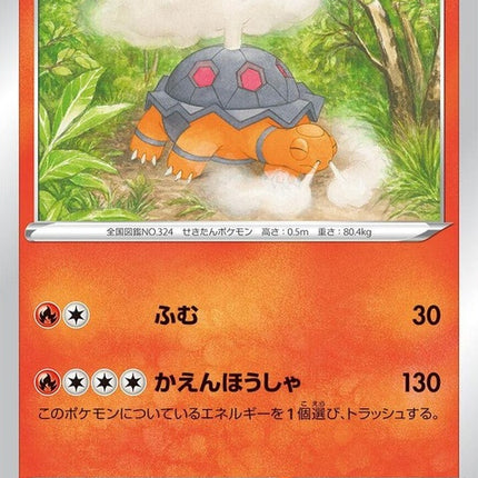 13-torkoal