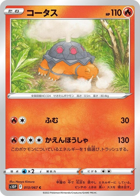 13-torkoal