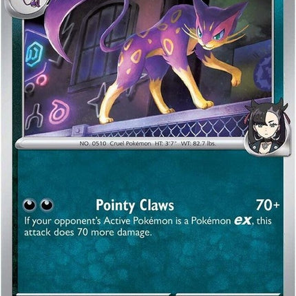 131-marniesliepard