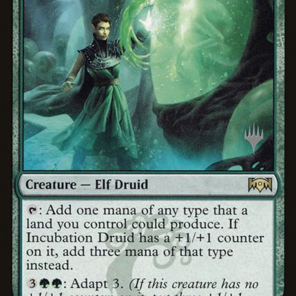 131p-incubationdruid