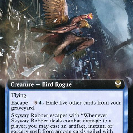 132-skywayrobber